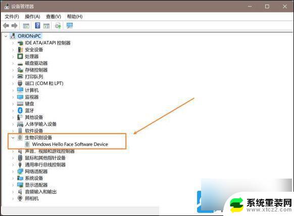 win11hello面部识别不能用 Win11面部识别无法使用怎么办