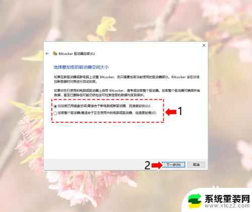 加密磁盘怎么解锁 Windows10系统如何给磁盘进行加密解密