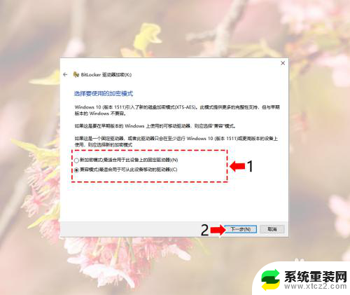 加密磁盘怎么解锁 Windows10系统如何给磁盘进行加密解密