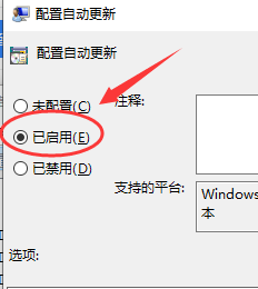 电脑一直打字怎么关闭 Win10键盘自动输入文字怎么取消